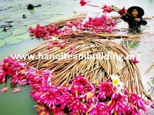 Hanoiteambuilding, ha noi team building, Hanoi team building, Hanoi teambuilding, vietnamteambuilding, viet nam team building, Vietnam teambuilding, Vietnam team building